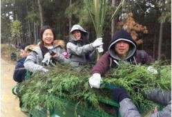 吃瓜网森林消防,森林消防英勇事迹背后的感人故事