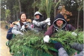 吃瓜网森林消防,森林消防英勇事迹背后的感人故事