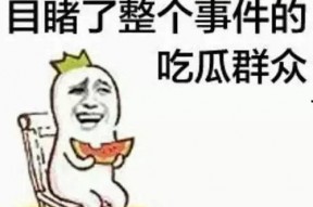 吃瓜网看不了,吃瓜网无法访问背后的真相